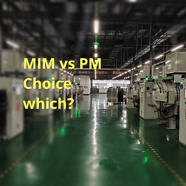 MIM vs PM